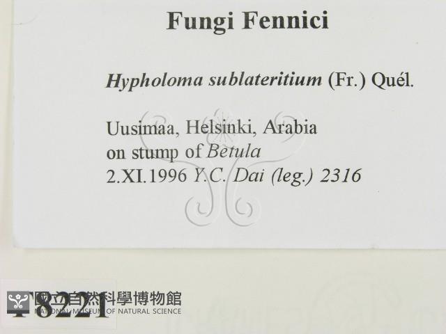 登錄號:F0008221藏品圖，第2張