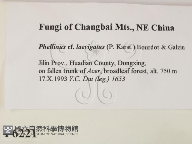 登錄號:F0006221藏品圖，第2張