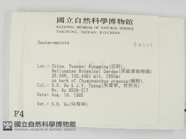 登錄號:F0004221藏品圖，第2張