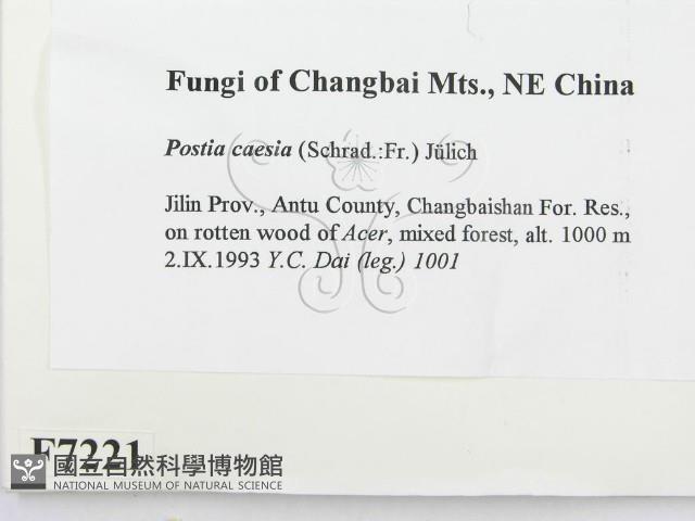 登錄號:F0007221藏品圖，第2張