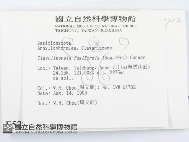 登錄號:F0005221藏品圖，第2張