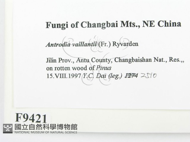 登錄號:F0009421藏品圖，第2張