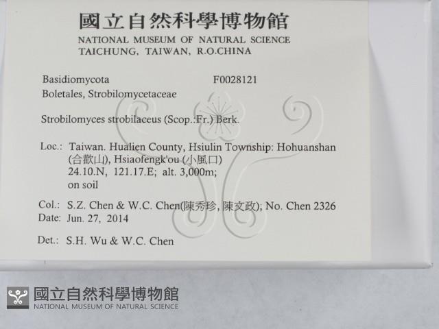 登錄號:F0028121藏品圖，第2張