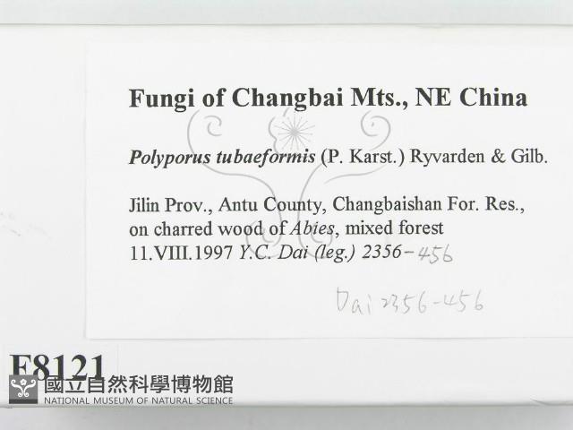 登錄號:F0008121藏品圖，第2張