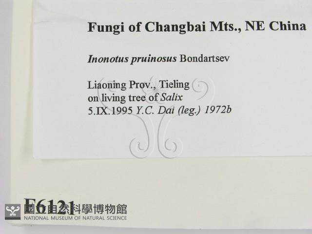 登錄號:F0006121藏品圖，第2張