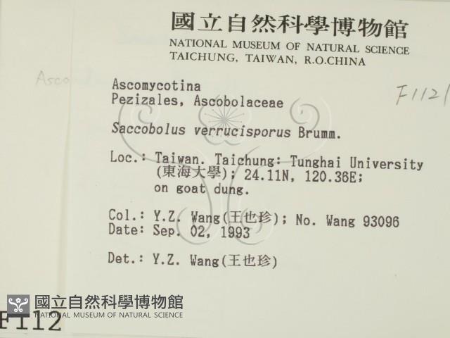 登錄號:F0001121藏品圖，第2張