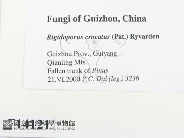 登錄號:F0014121藏品圖，第2張