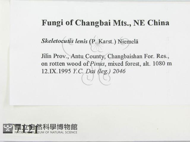 登錄號:F0007121藏品圖，第2張