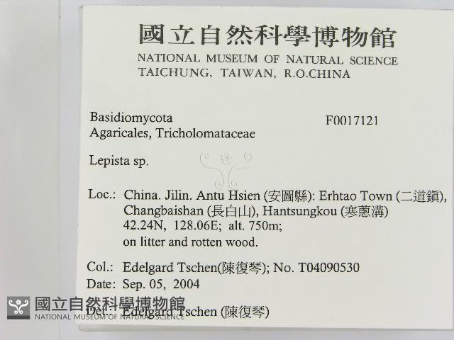 登錄號:F0017121藏品圖，第2張