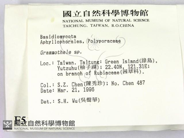 登錄號:F0005121藏品圖，第2張