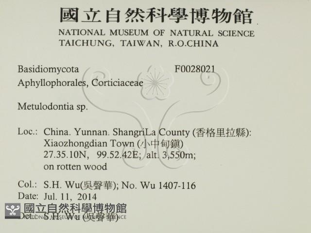 登錄號:F0028021藏品圖，第2張