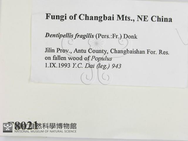 登錄號:F0008021藏品圖，第2張