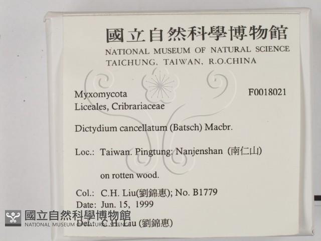 登錄號:F0018021藏品圖，第2張