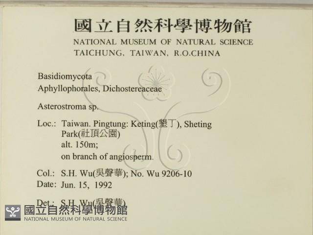 登錄號:F0001021藏品圖，第2張