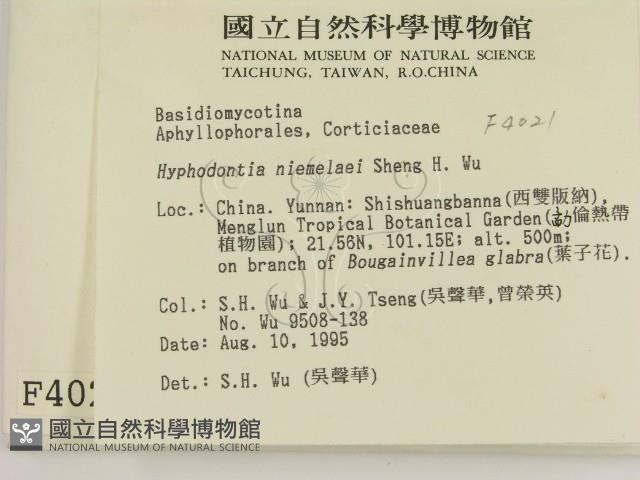 登錄號:F0004021藏品圖，第2張