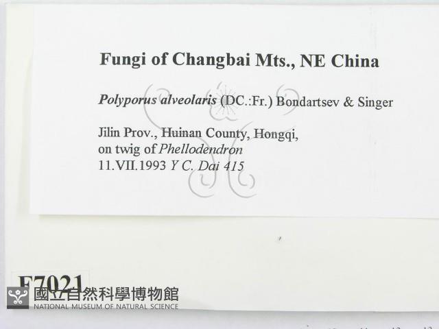登錄號:F0007021藏品圖，第2張