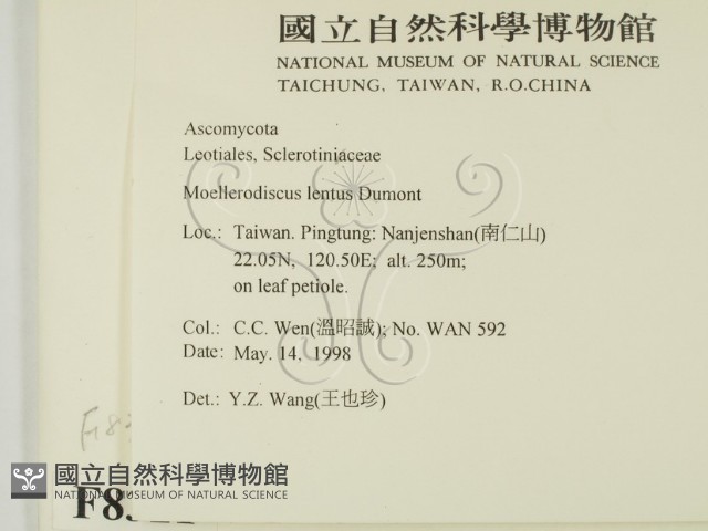 登錄號:F0008321藏品圖，第2張