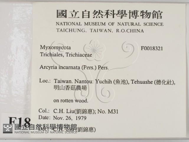 登錄號:F0018321藏品圖，第2張