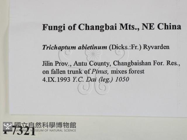 登錄號:F0007321藏品圖，第2張