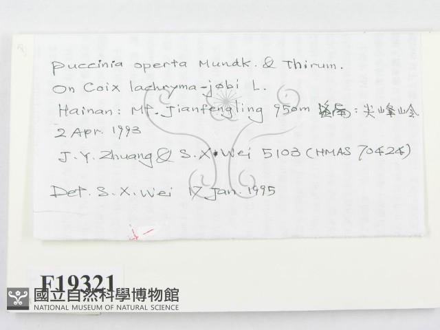 登錄號:F0019321藏品圖，第2張