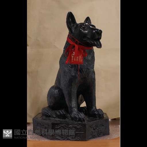 義公犬藏品圖，第1張