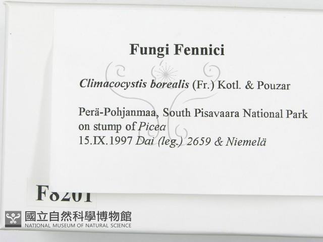 登錄號:F0008201藏品圖，第2張