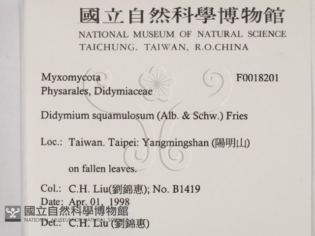 登錄號:F0018201藏品圖，第2張