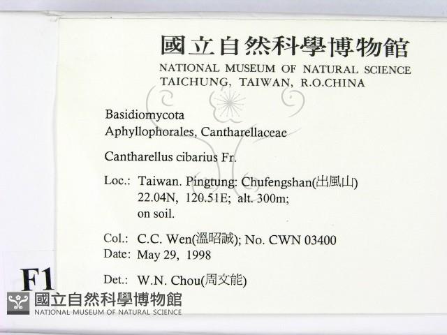 登錄號:F0011201藏品圖，第2張