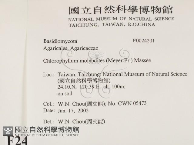 登錄號:F0024201藏品圖，第2張