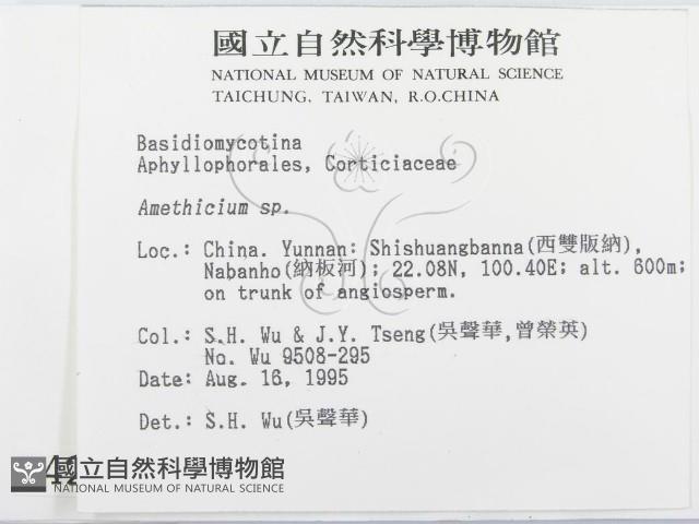 登錄號:F0004201藏品圖，第2張