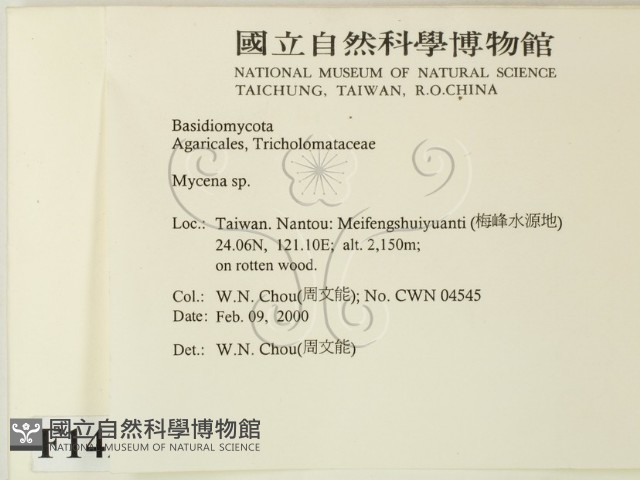 小菇屬藏品圖，第2張