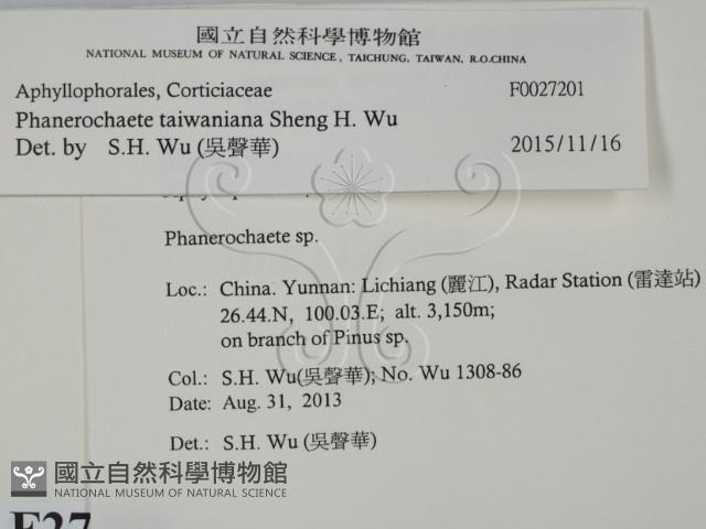 登錄號:F0027201藏品圖，第2張