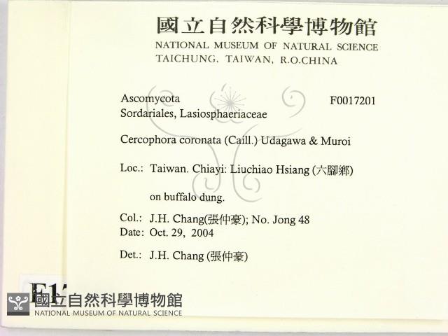登錄號:F0017201藏品圖，第2張