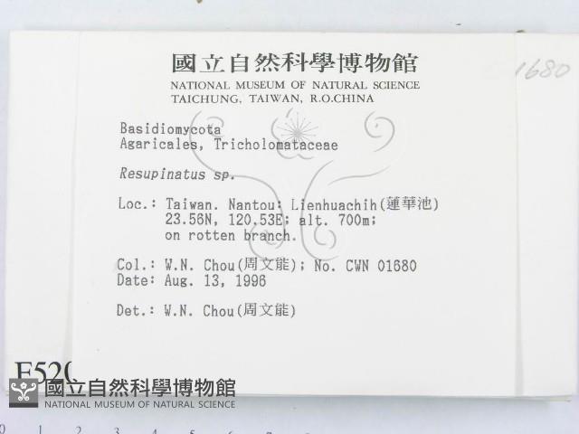 登錄號:F0005201藏品圖，第2張