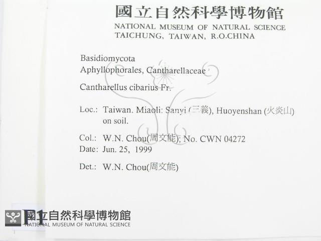 登錄號:F0013201藏品圖，第2張