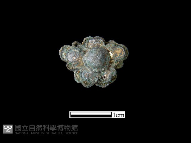 飾品藏品圖，第2張