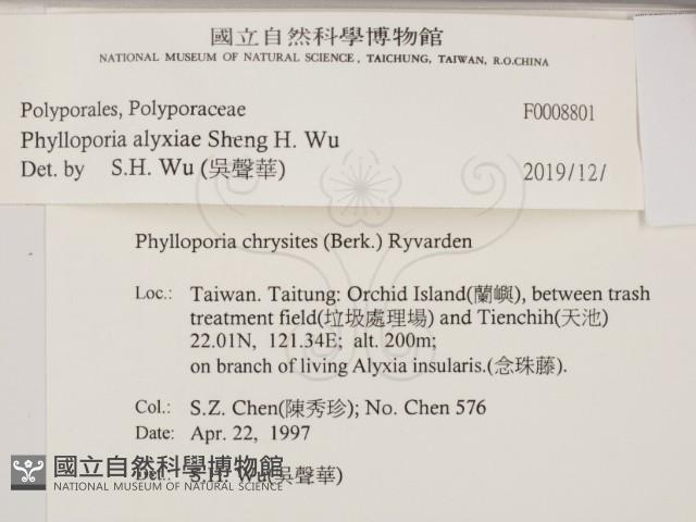 登錄號:F0008801藏品圖，第2張