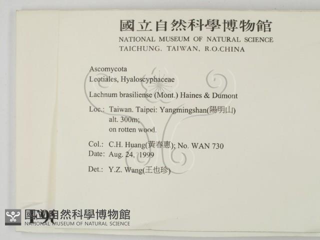 登錄號:F0009801藏品圖，第2張