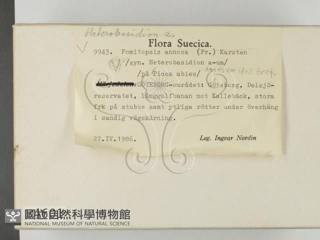 登錄號:F0004601藏品圖，第2張