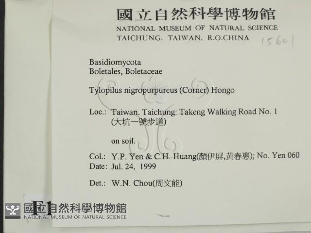 登錄號:F0015601藏品圖，第2張