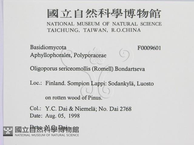 登錄號:F0009601藏品圖，第2張