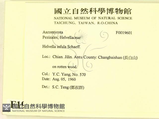 登錄號:F0019601藏品圖，第2張