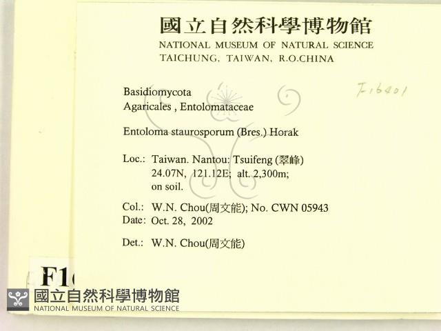 登錄號:F0016401藏品圖，第2張