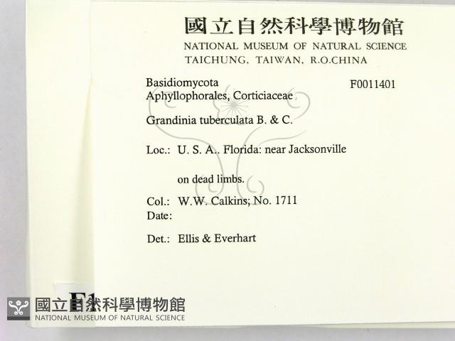 登錄號:F0011401藏品圖，第2張