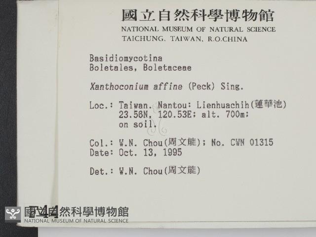 登錄號:F0004401藏品圖，第2張