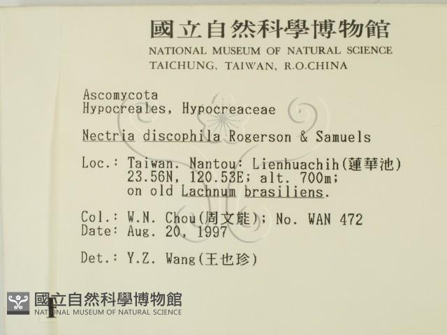 登錄號:F0007401藏品圖，第2張