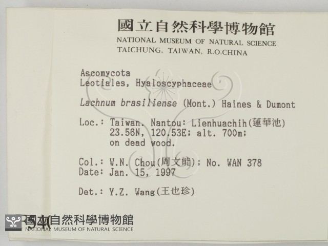 登錄號:F0005401藏品圖，第2張