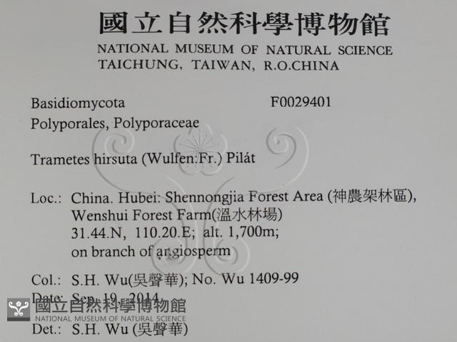 登錄號:F0029401藏品圖，第2張