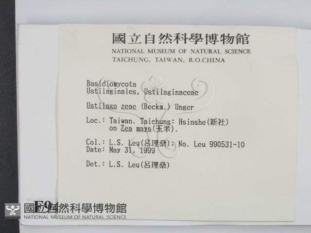 登錄號:F0009401藏品圖，第2張