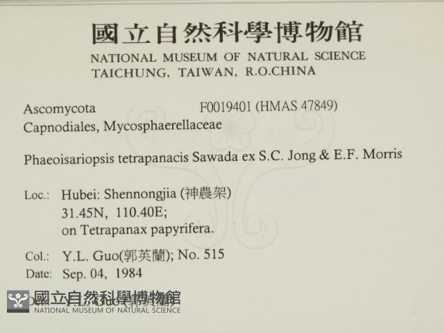 登錄號:F0019401藏品圖，第2張